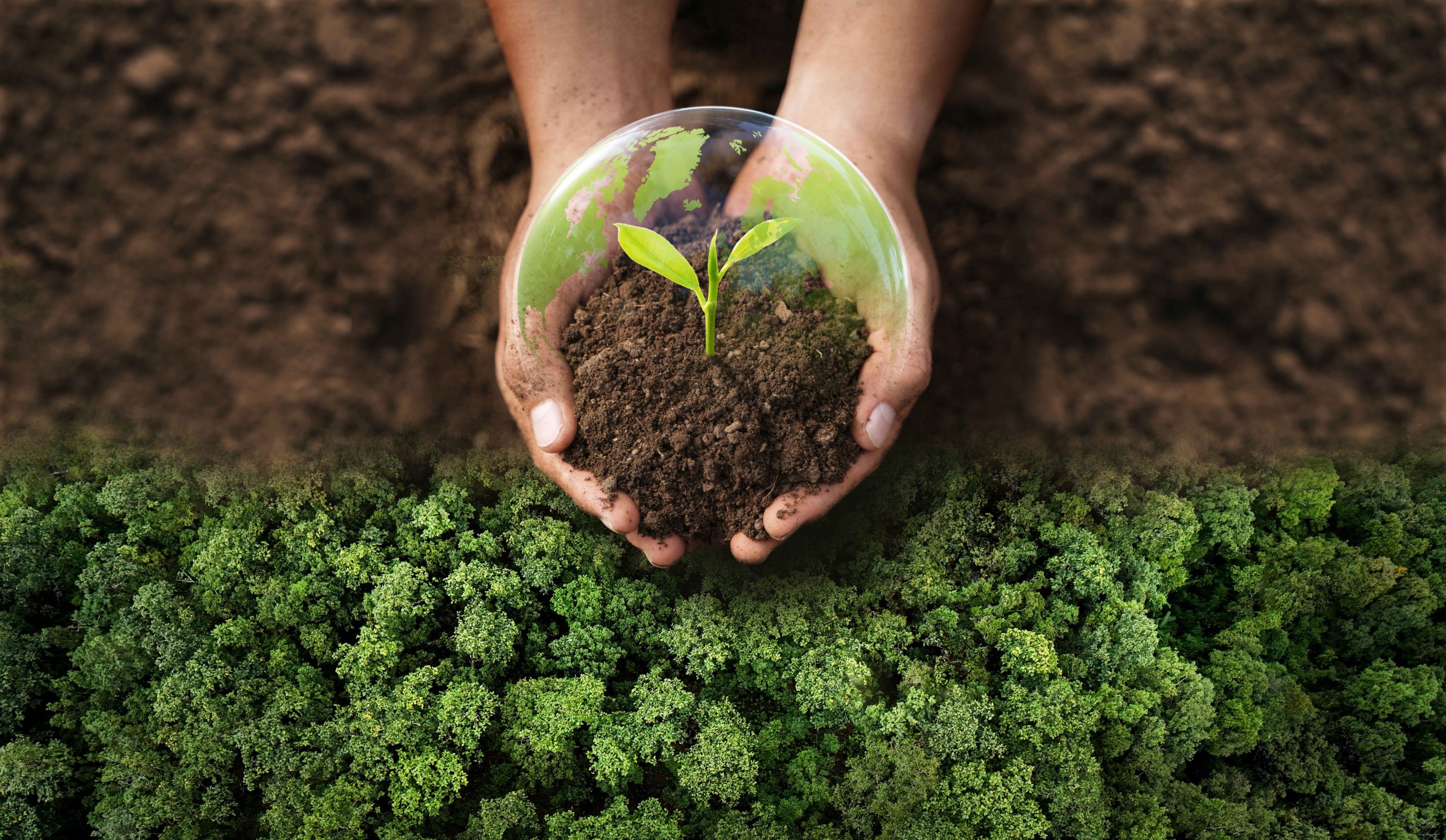 https://krescosolutions.com/wp-content/uploads/2026/05/Environmental-Policy-scaled.jpg