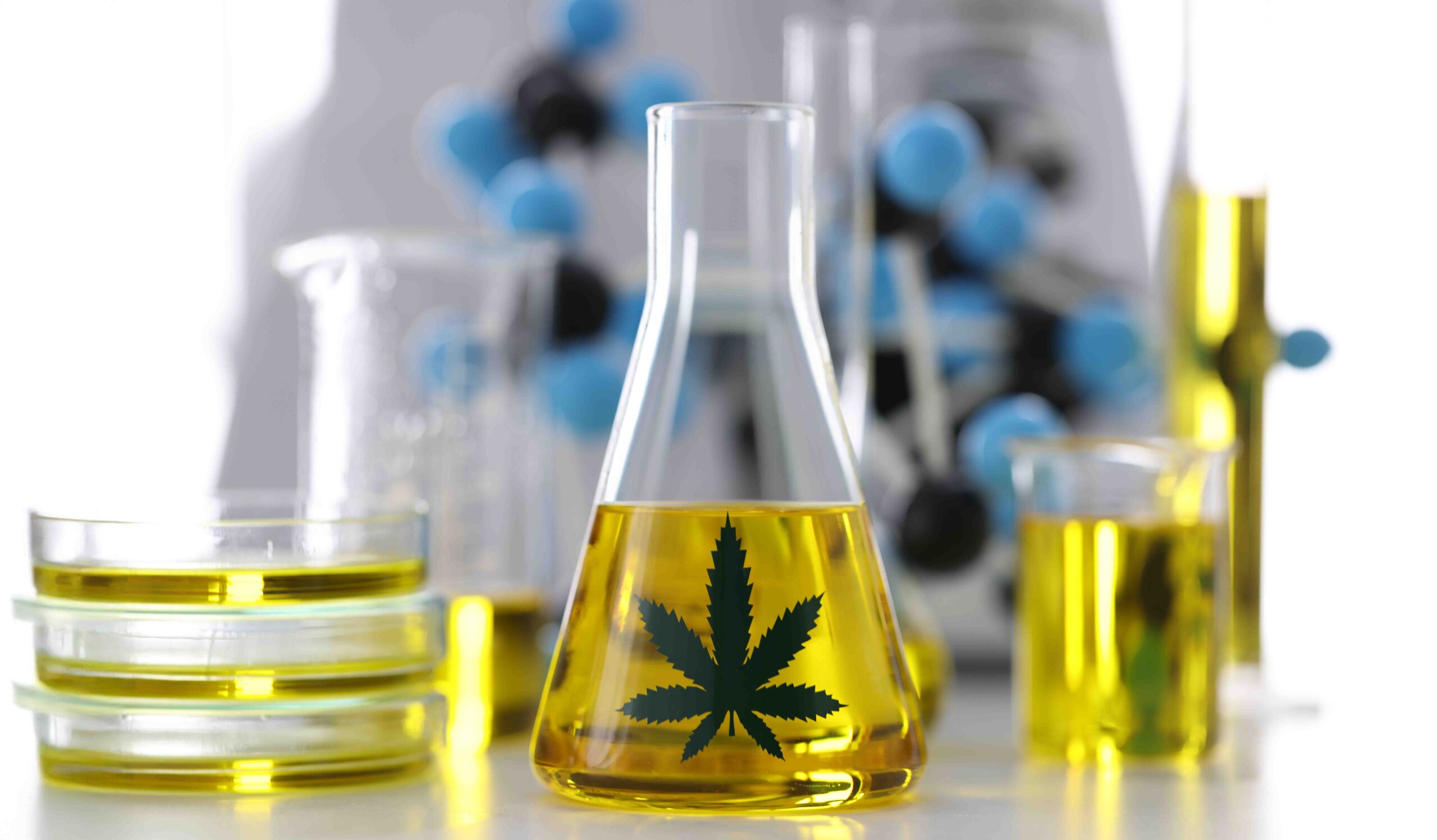Cannabis Oil Extractor